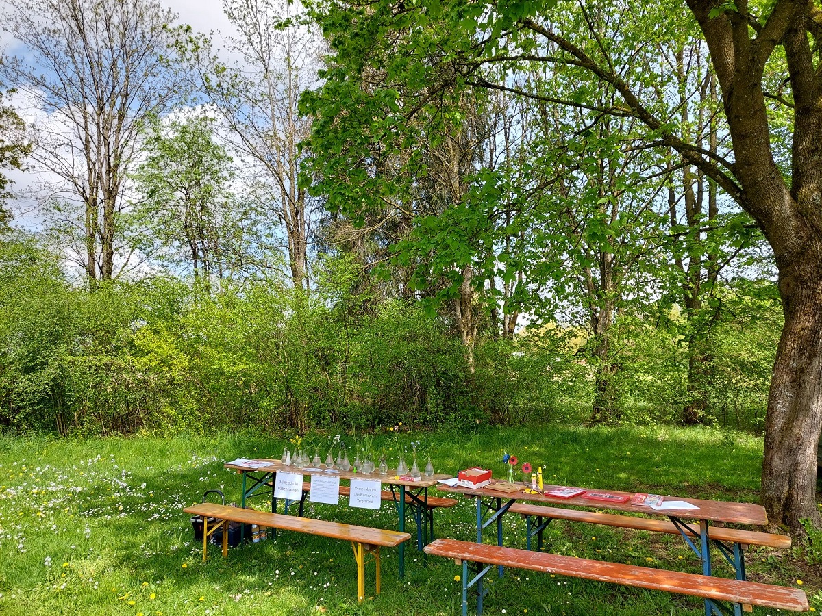 Erlebnistag am Fuggerweiher 1